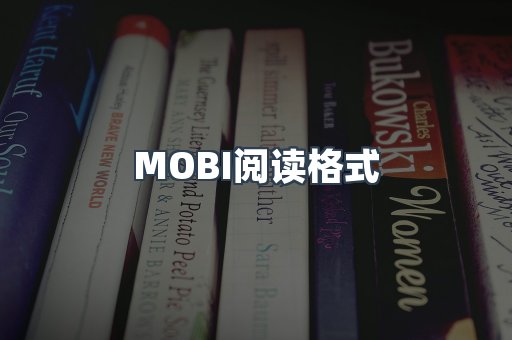 MOBI阅读格式